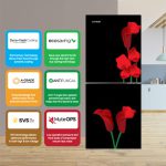 Conion BE-170 GD (Black & Red) Refrigerator - Image 3